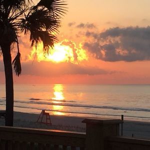 Meet your Posher, Beverly